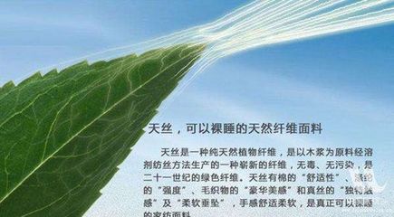 洞察熱點(diǎn):深度解析中國(guó)工業(yè)生物技術(shù)行業(yè)發(fā)展現(xiàn)狀及前景