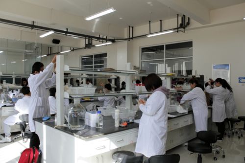 內(nèi)蒙古大學(xué)生物科學(xué)入選教育部基礎(chǔ)學(xué)科拔尖學(xué)生培養(yǎng)計劃2.0基地