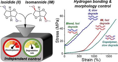 糖竟是可持續(xù)密鑰?糖基環(huán)保塑料兼具機(jī)械特性和可降解雙重優(yōu)勢(shì)