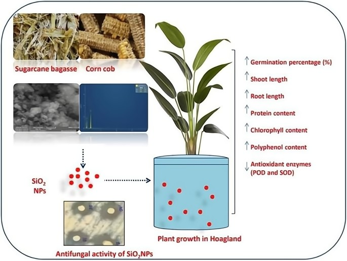 解密碳基生命與硅基生命:為什么說宇宙環(huán)境,更適合硅基生命?